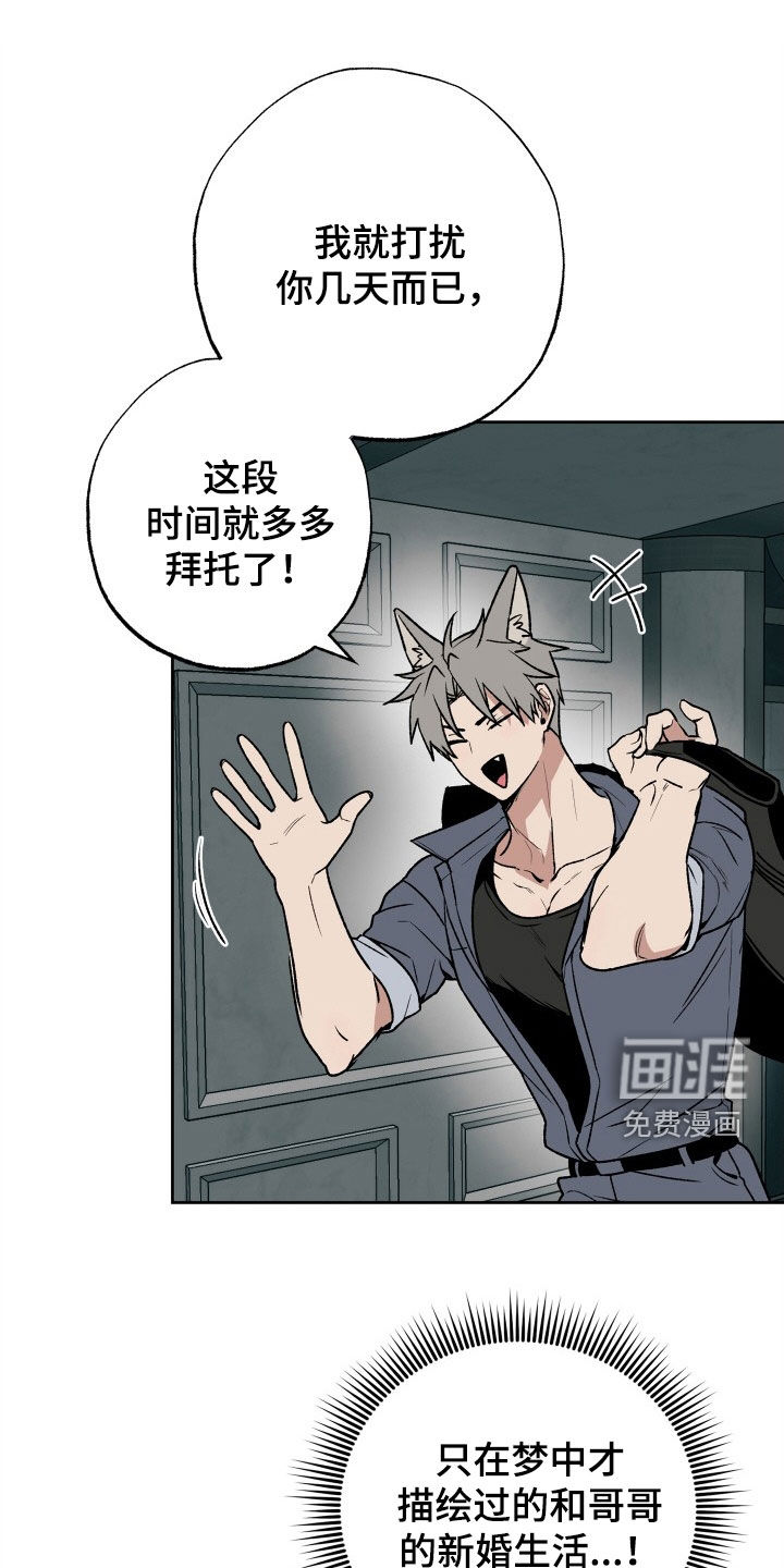 兽宠若惊第33话图