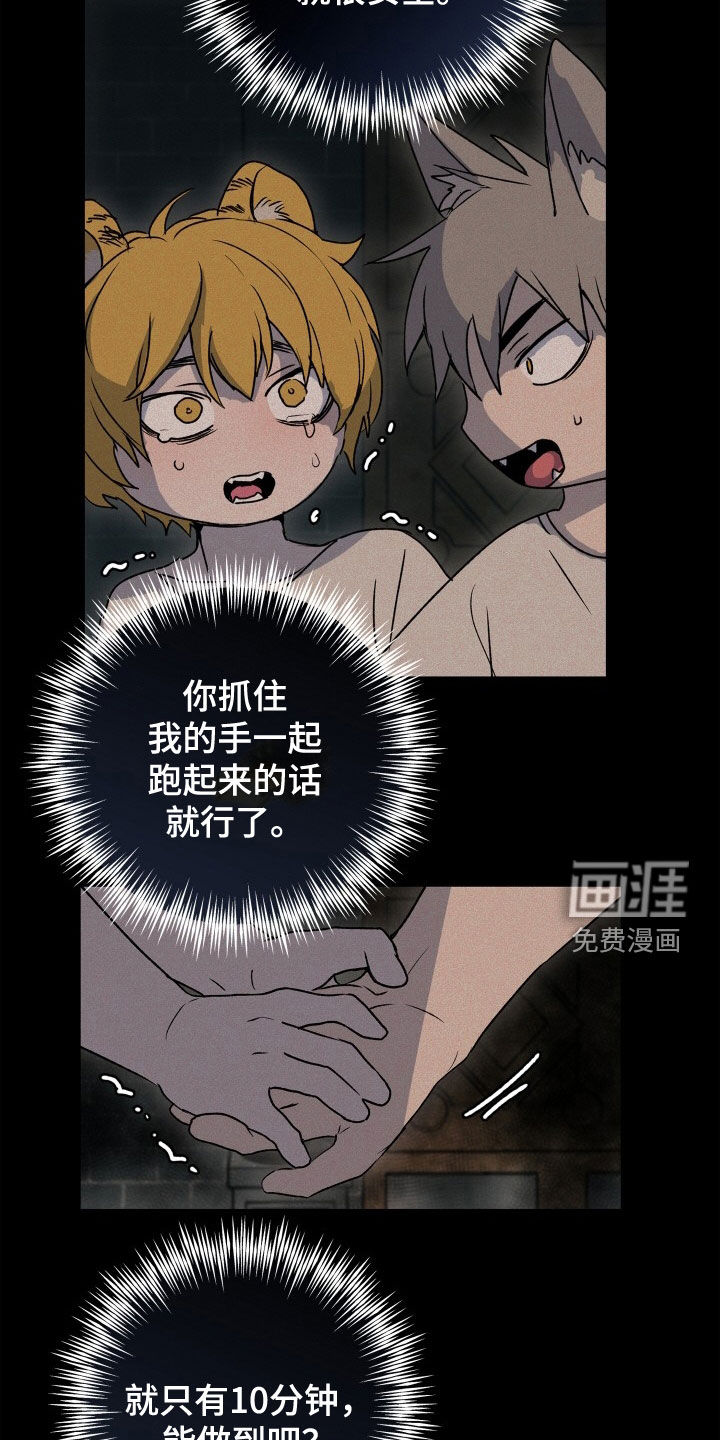 兽宠若惊第39话图