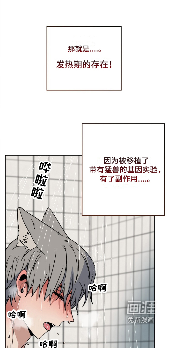 兽宠若惊第4话图