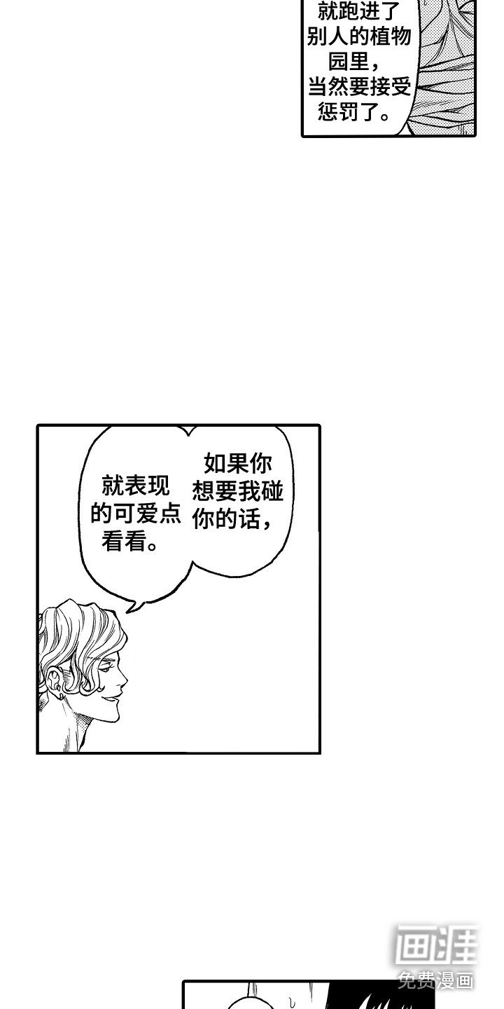 圣人契约第5话图