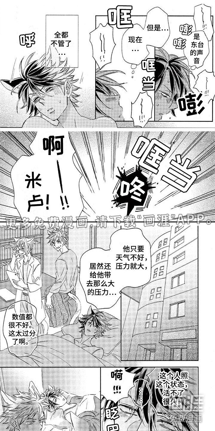 兽人国度第26话图