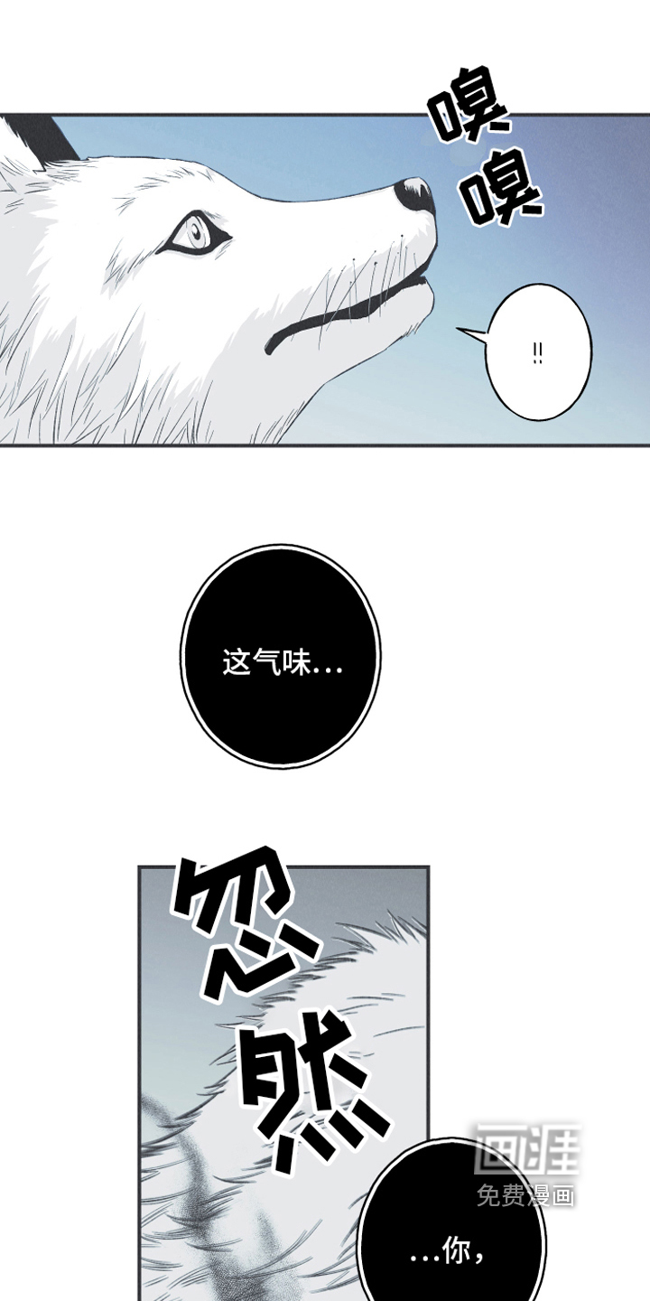 蛇环凶危第14话图