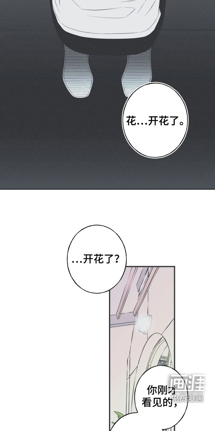 蛇环凶危第27话图