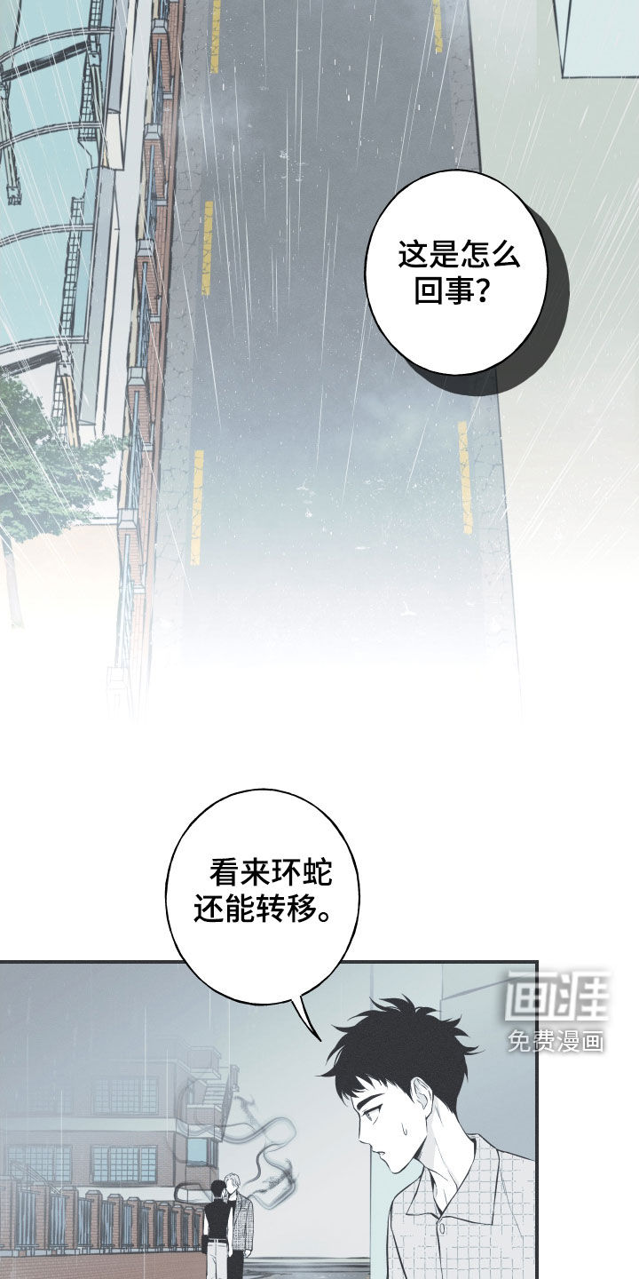 蛇环凶危第35话图