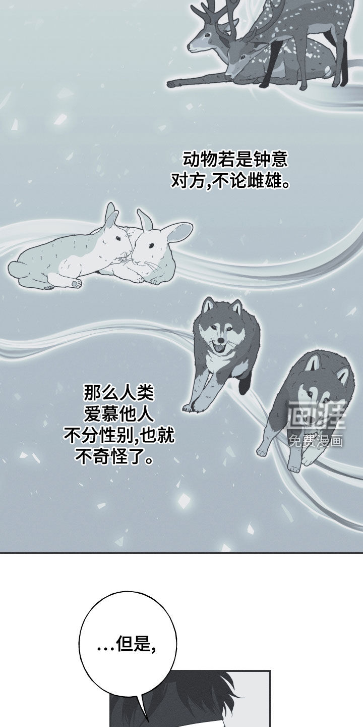 蛇环凶危第43话图