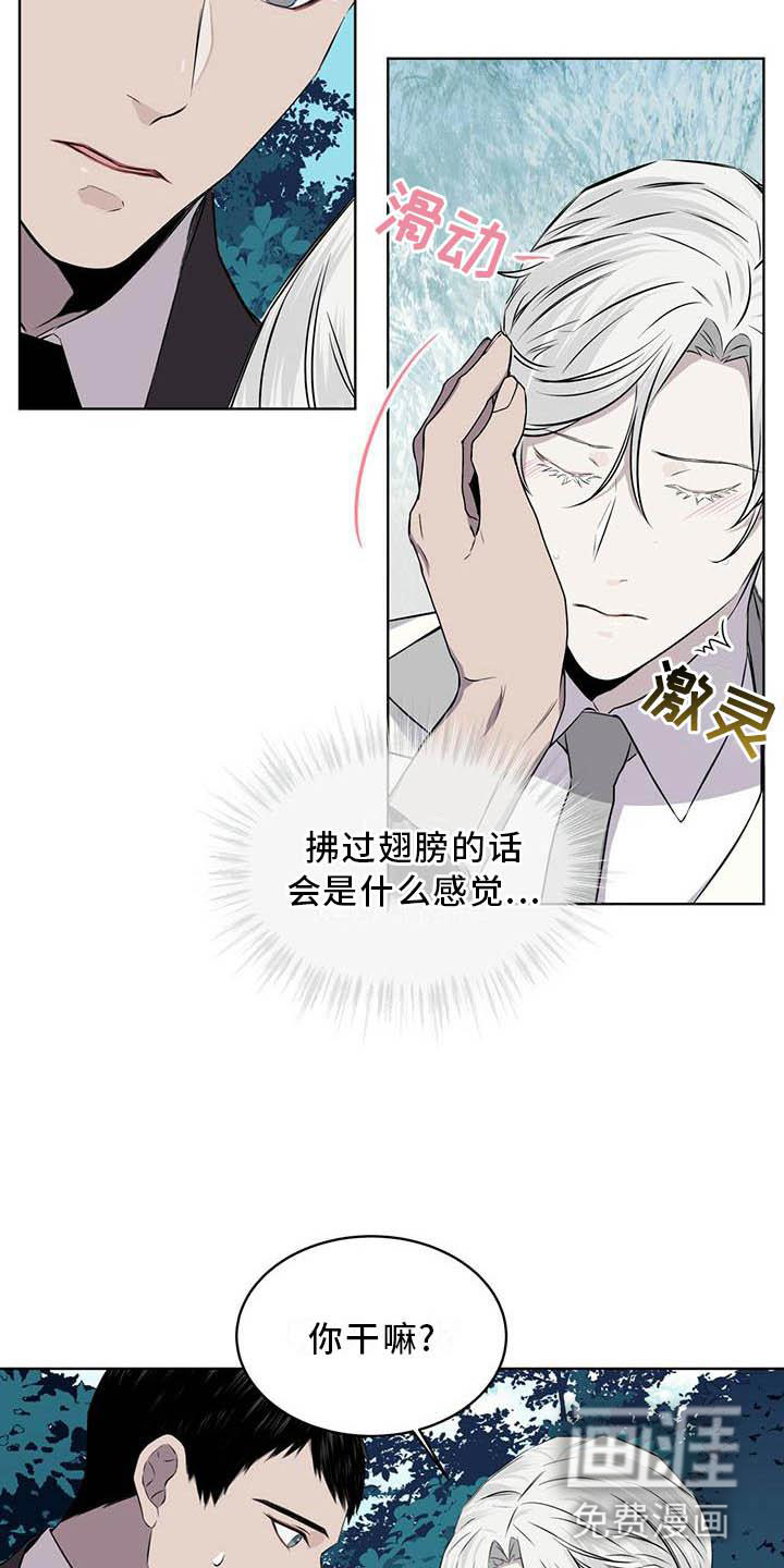 森海之恋第31话图