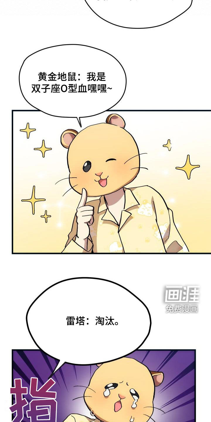 神级菜鸟第31话图