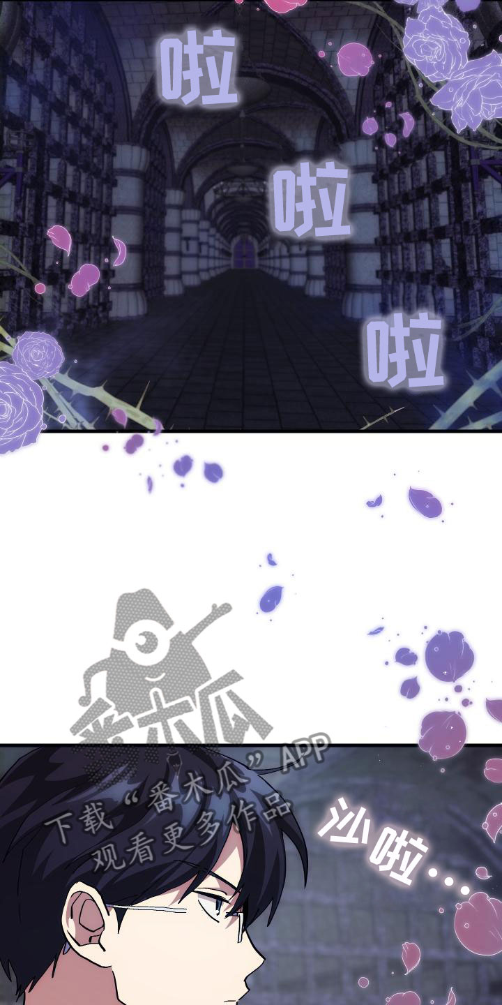 神级菜鸟第6话图