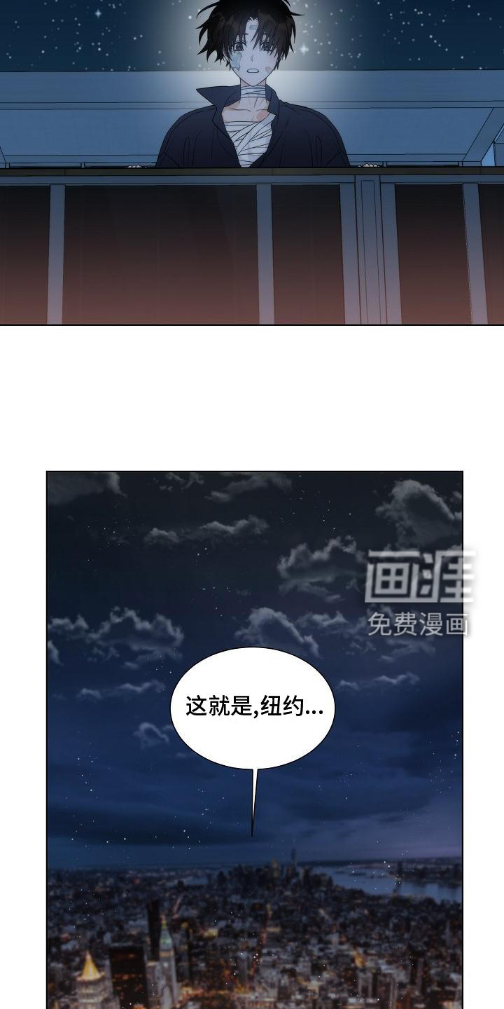 失窃的宝物第36话图