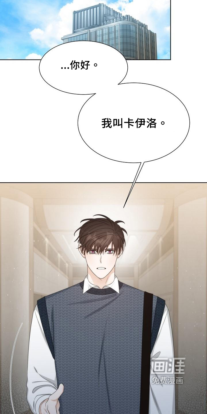 失窃的宝物第41话图