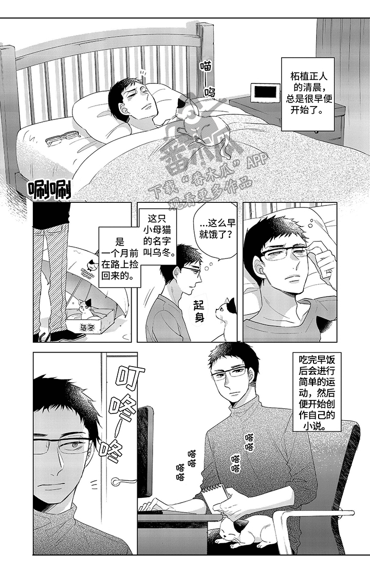 30岁成了魔法师第14话图