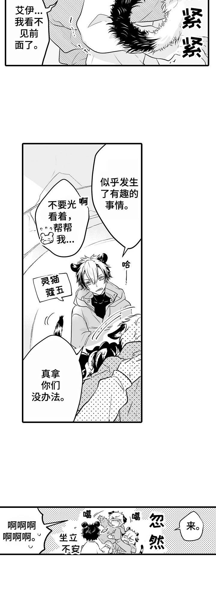 森林中的熊第1话图