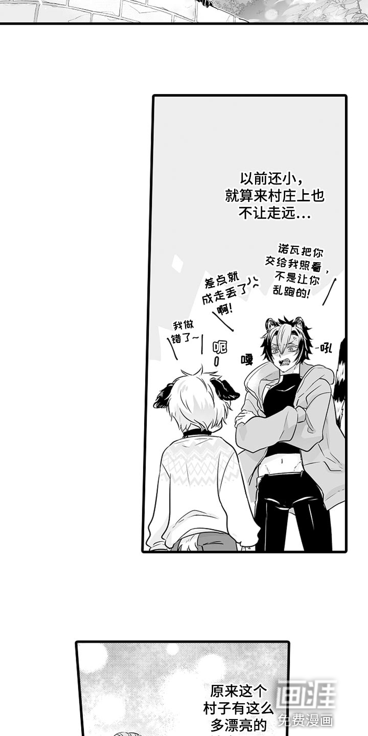 森林中的熊第16话图