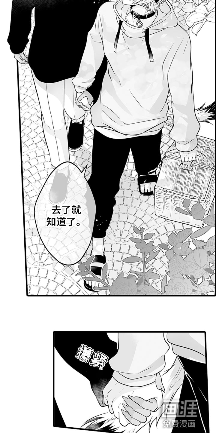 森林中的熊第17话图