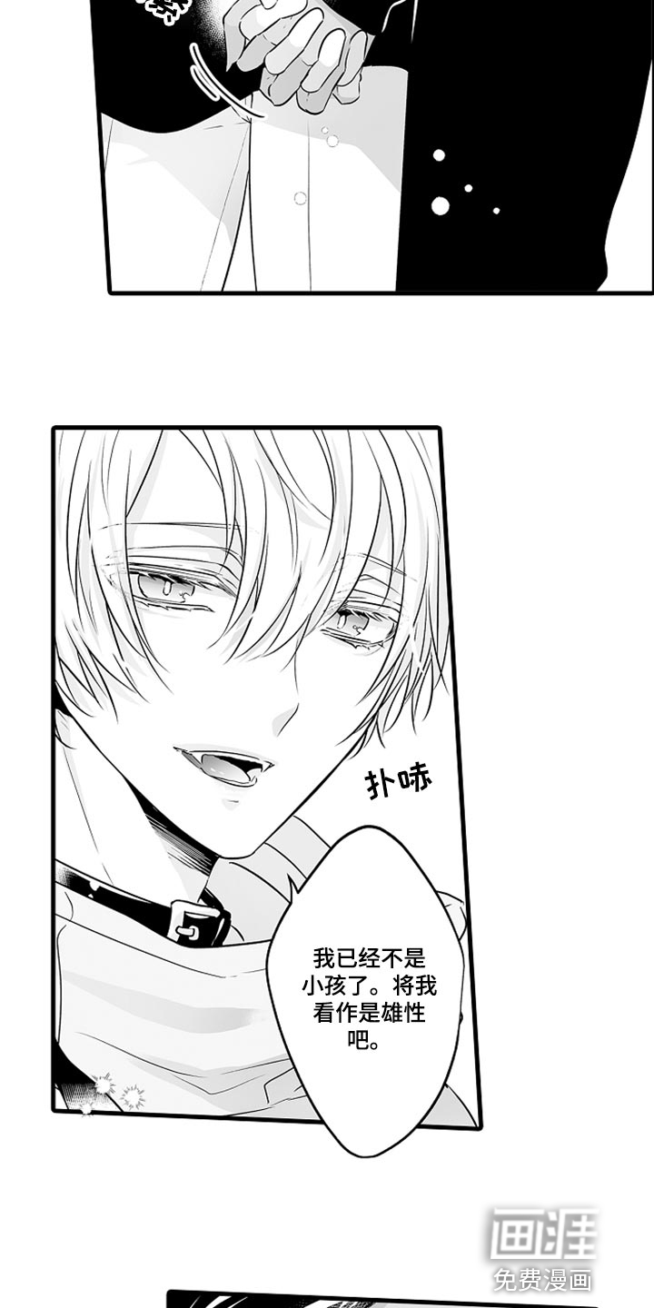 森林中的熊第17话图