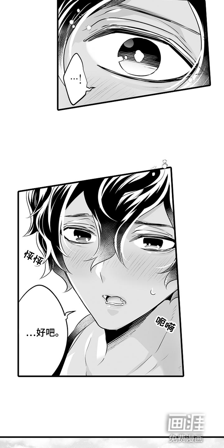 森林中的熊第17话图