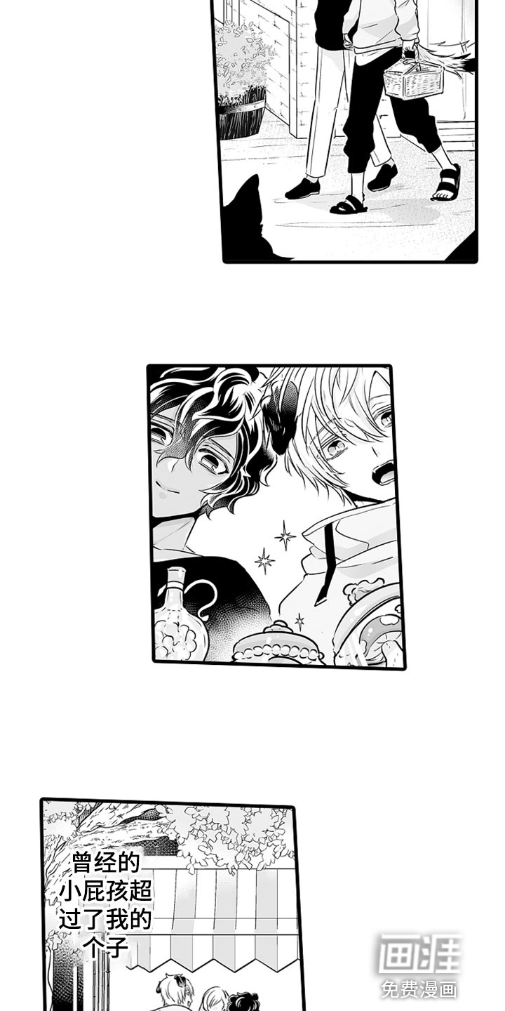 森林中的熊第17话图