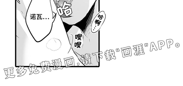 森林中的熊第19话图