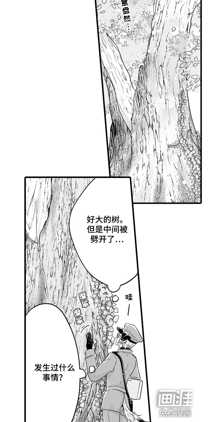 森林中的熊第21话图