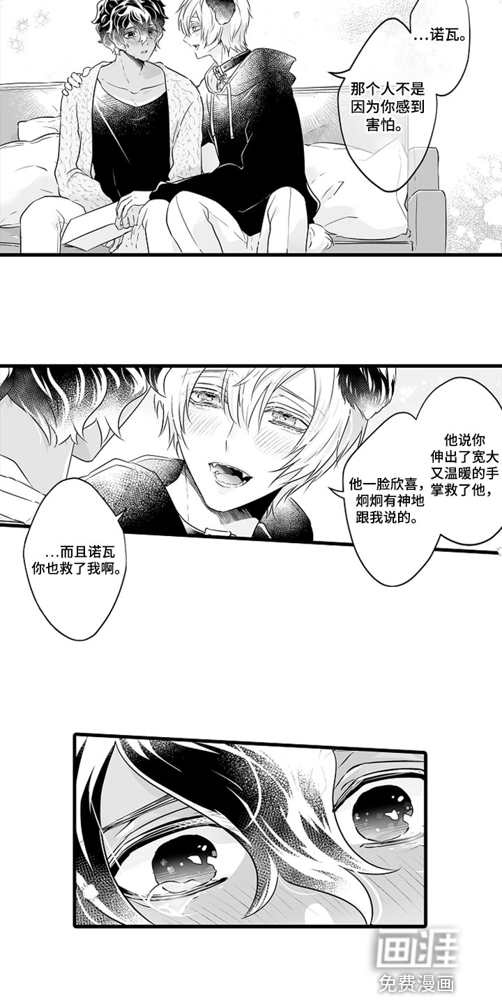 森林中的熊第24话图