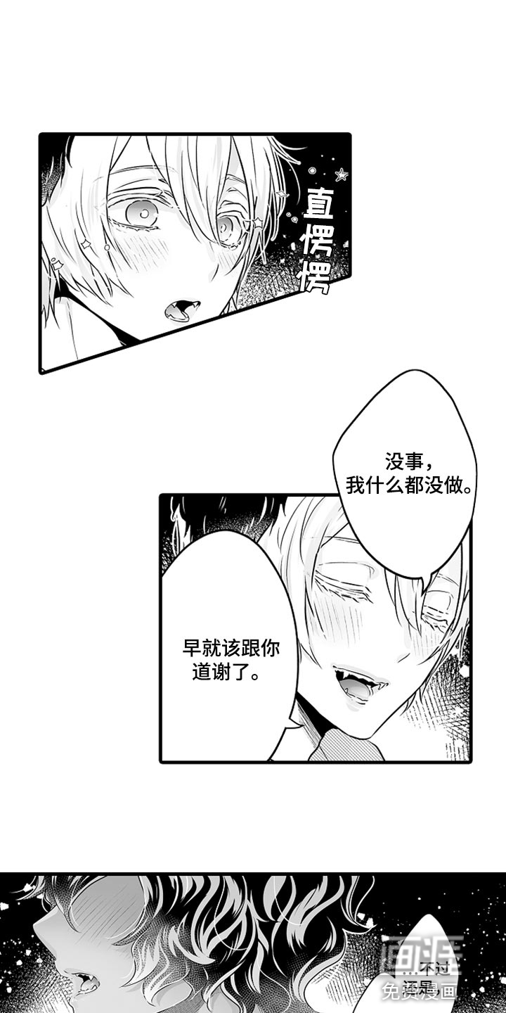 森林中的熊第25话图