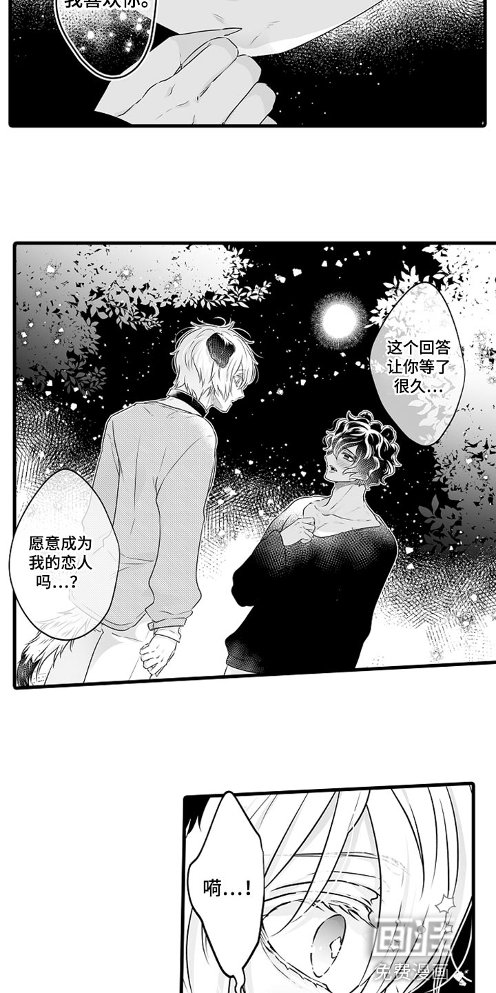 森林中的熊第25话图