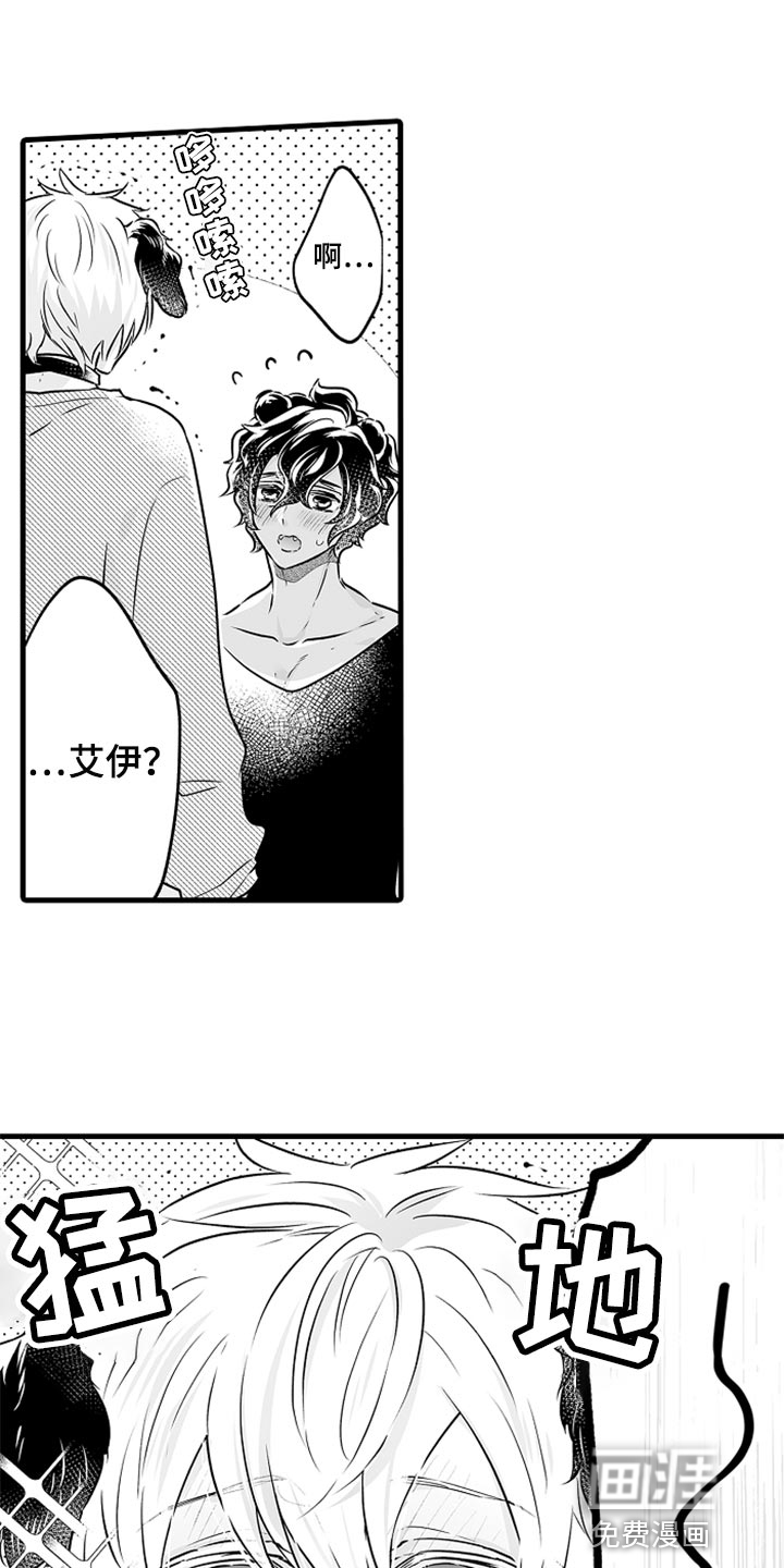 森林中的熊第25话图