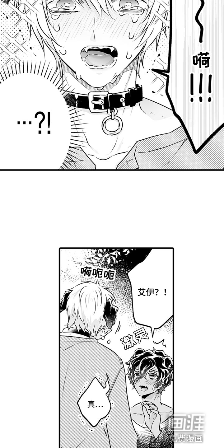 森林中的熊第25话图