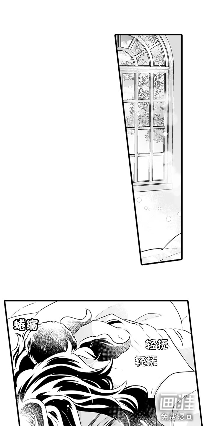 森林中的熊第26话图