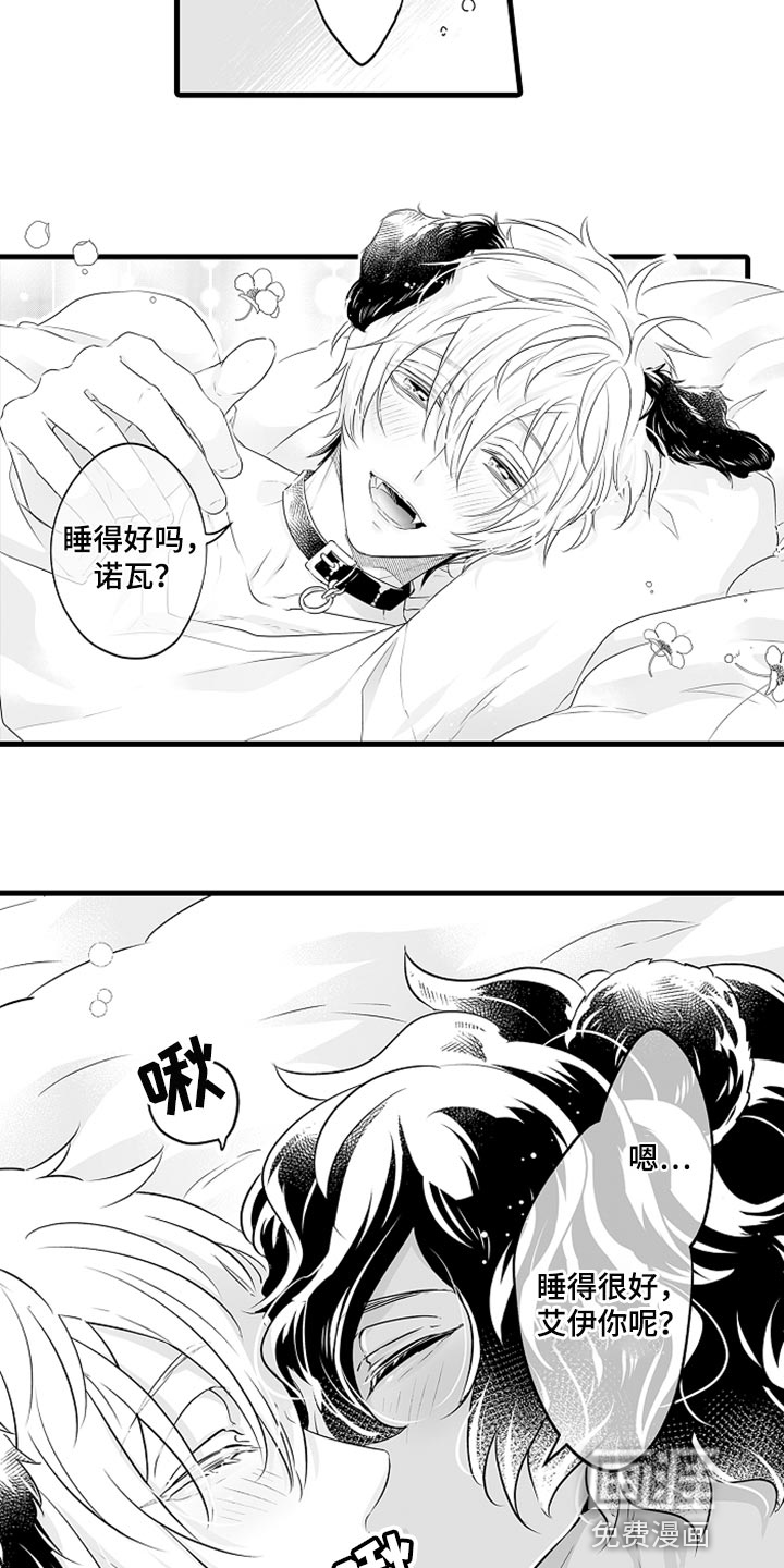 森林中的熊第26话图