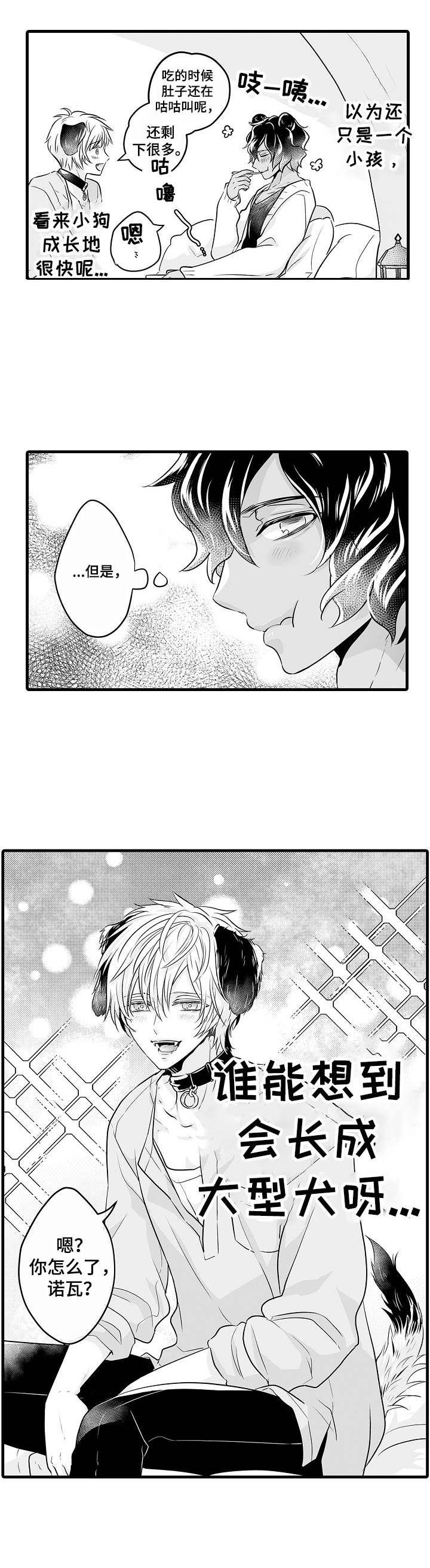 森林中的熊第3话图