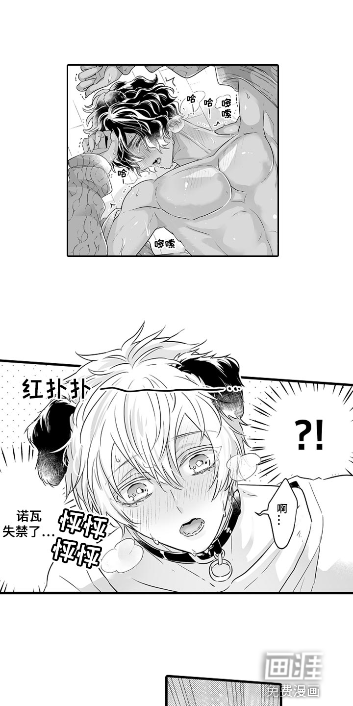 森林中的熊第30话图