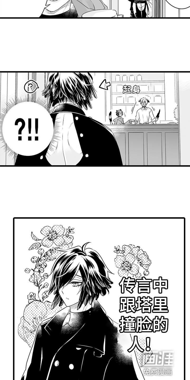 森林中的熊第39话图