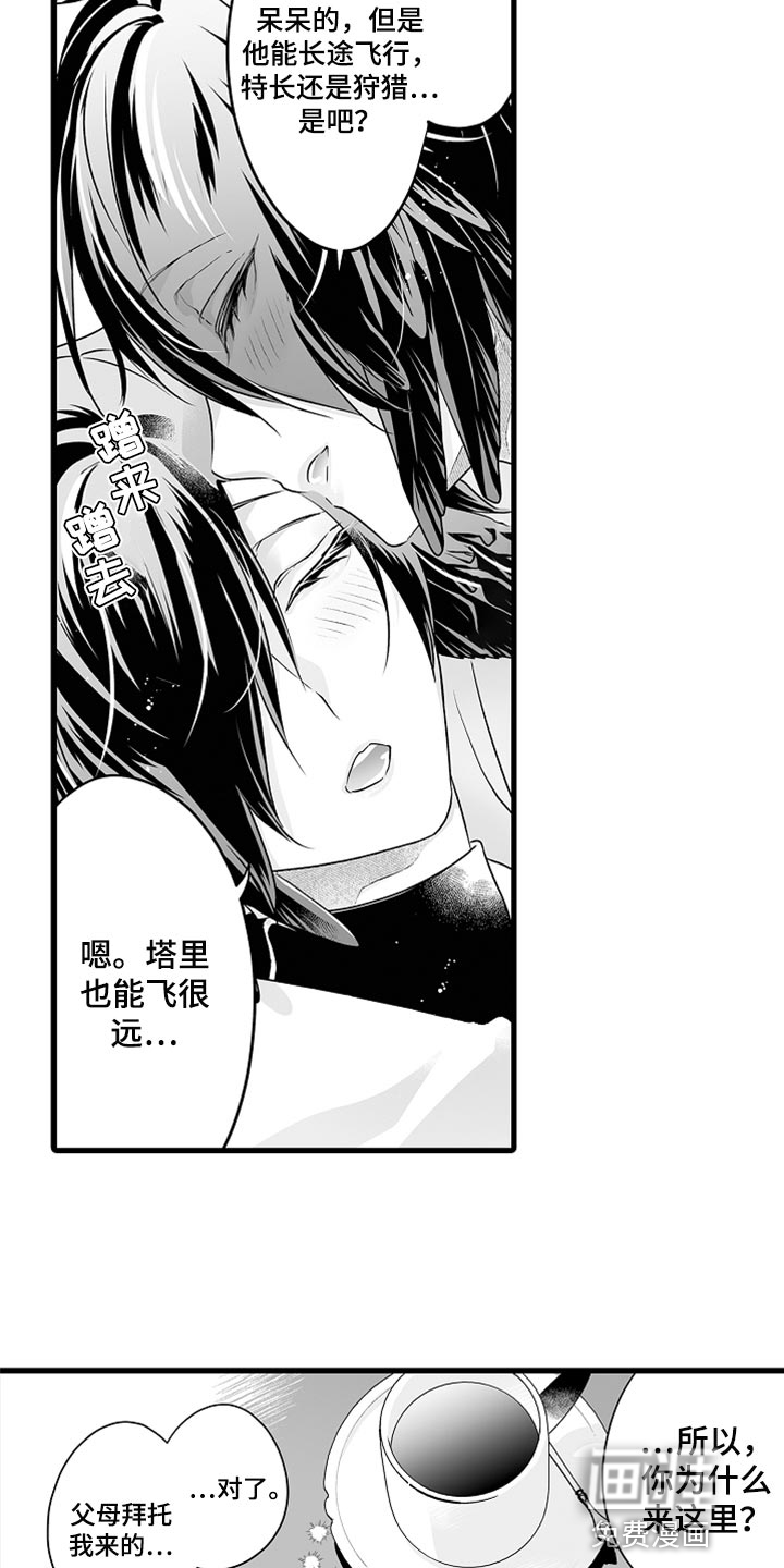 森林中的熊第39话图