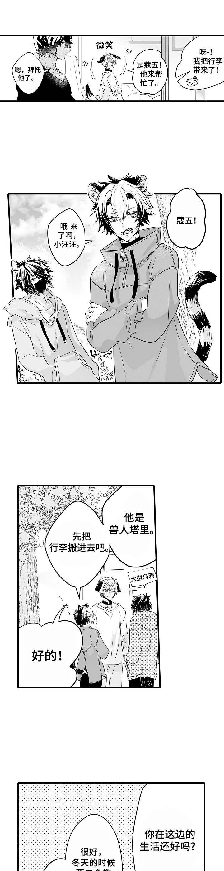 森林中的熊第4话图