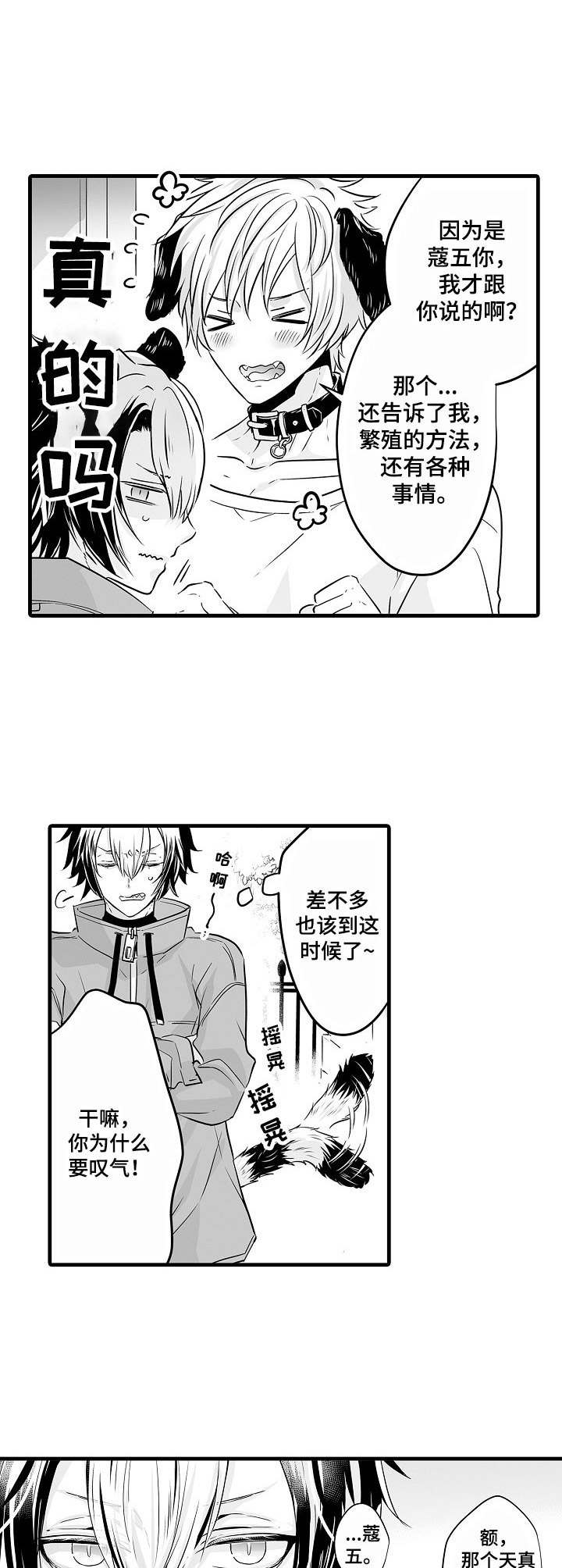 森林中的熊第4话图