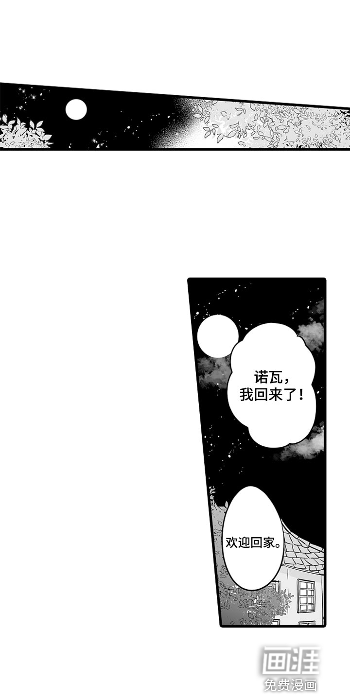 森林中的熊第40话图