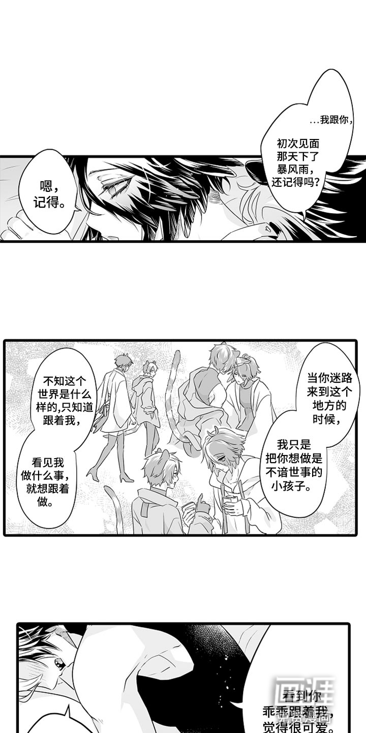 森林中的熊漫画-图4