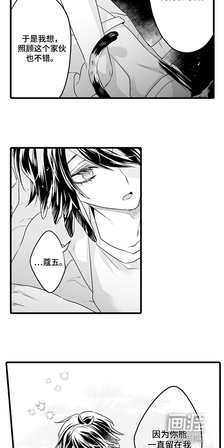 森林中的熊漫画-图5