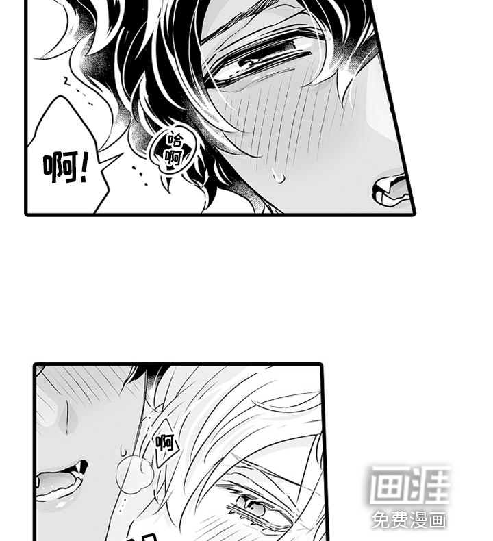 森林中的熊第43话图