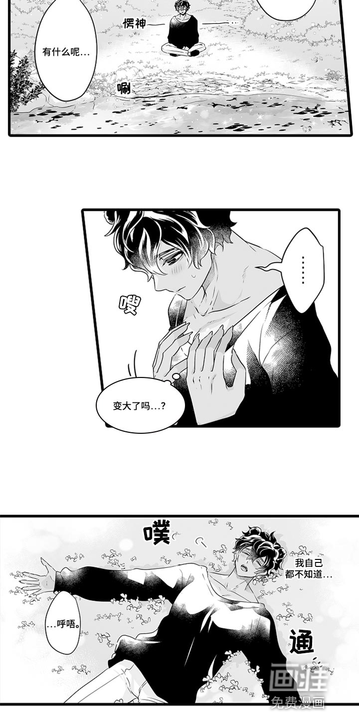 森林中的熊第44话图