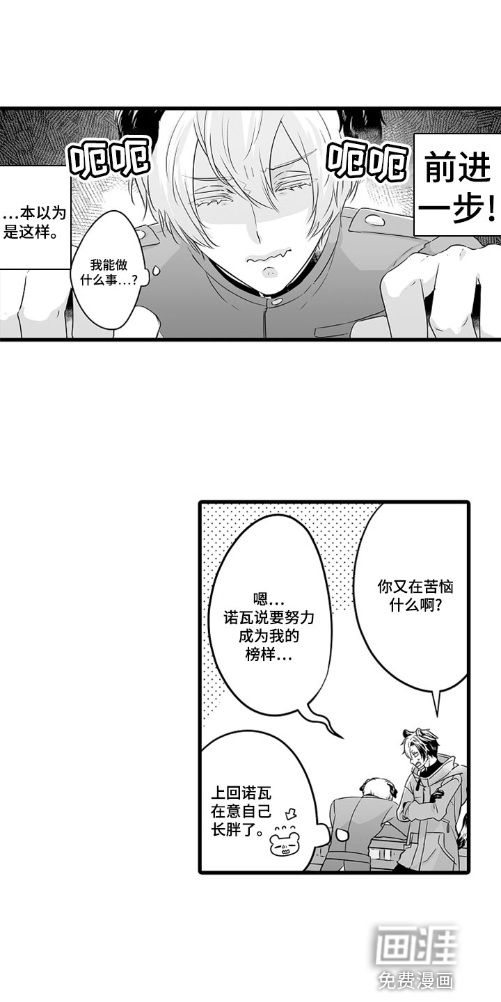 森林中的熊第46话图