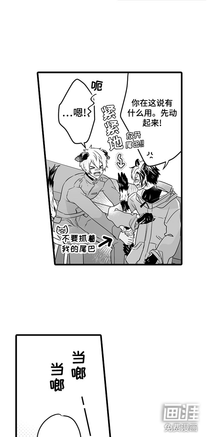森林中的熊第46话图