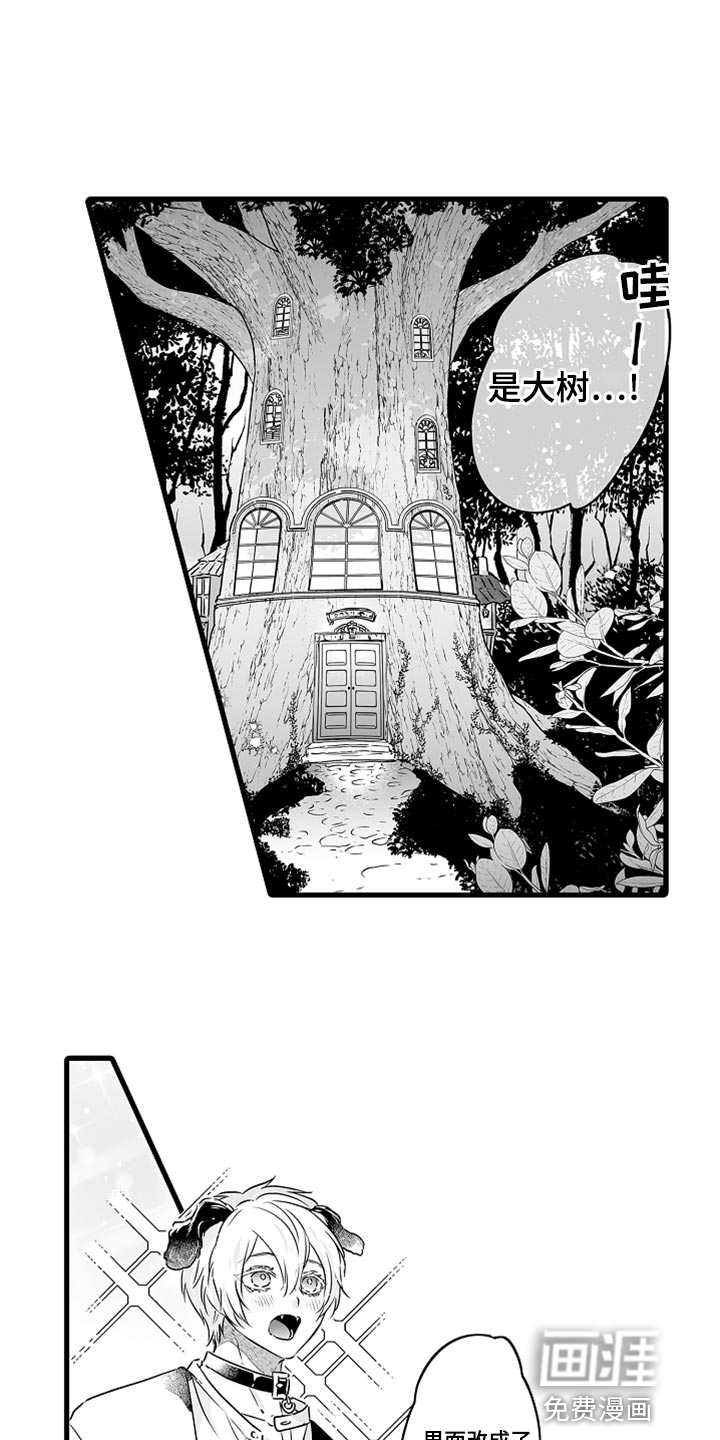 森林中的熊第46话图