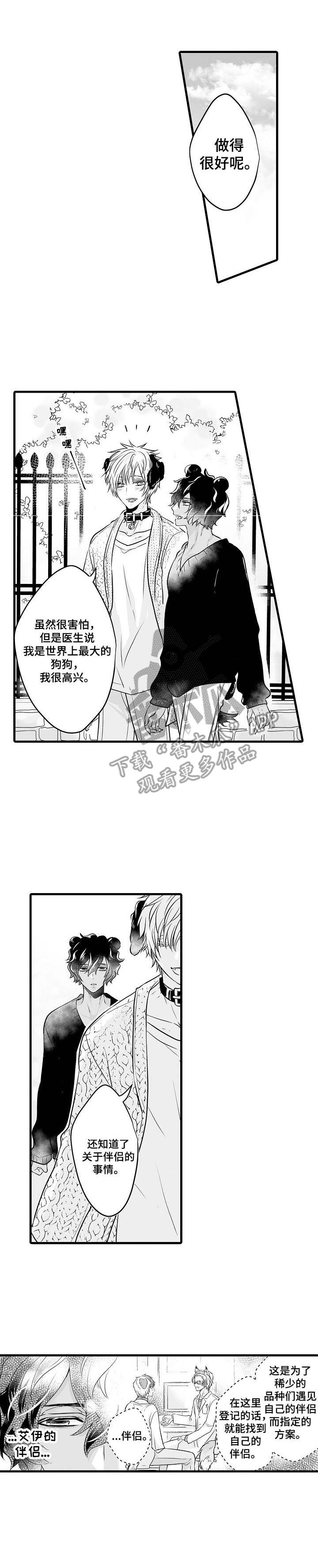 森林中的熊第5话图