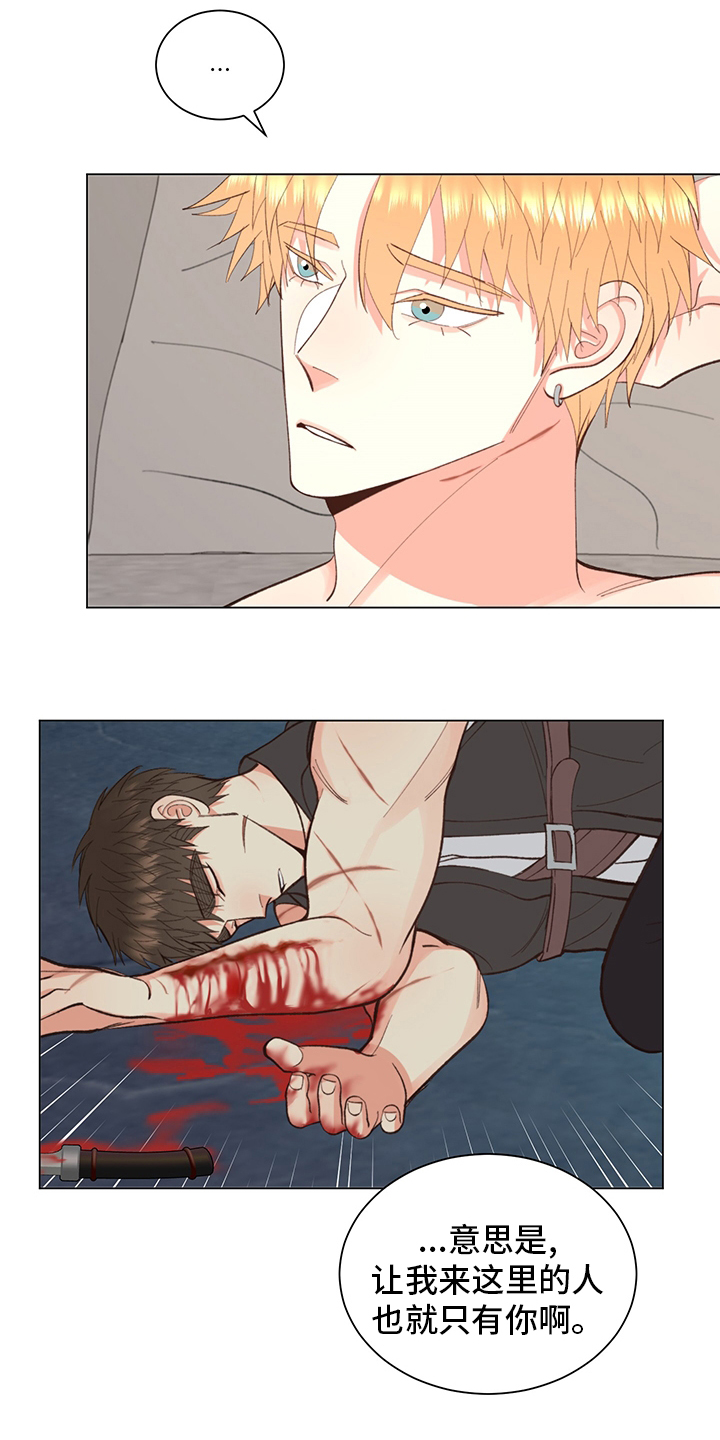 书中世界第38话图