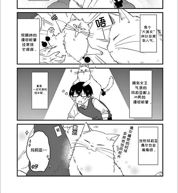 三花猫猫部第1话图