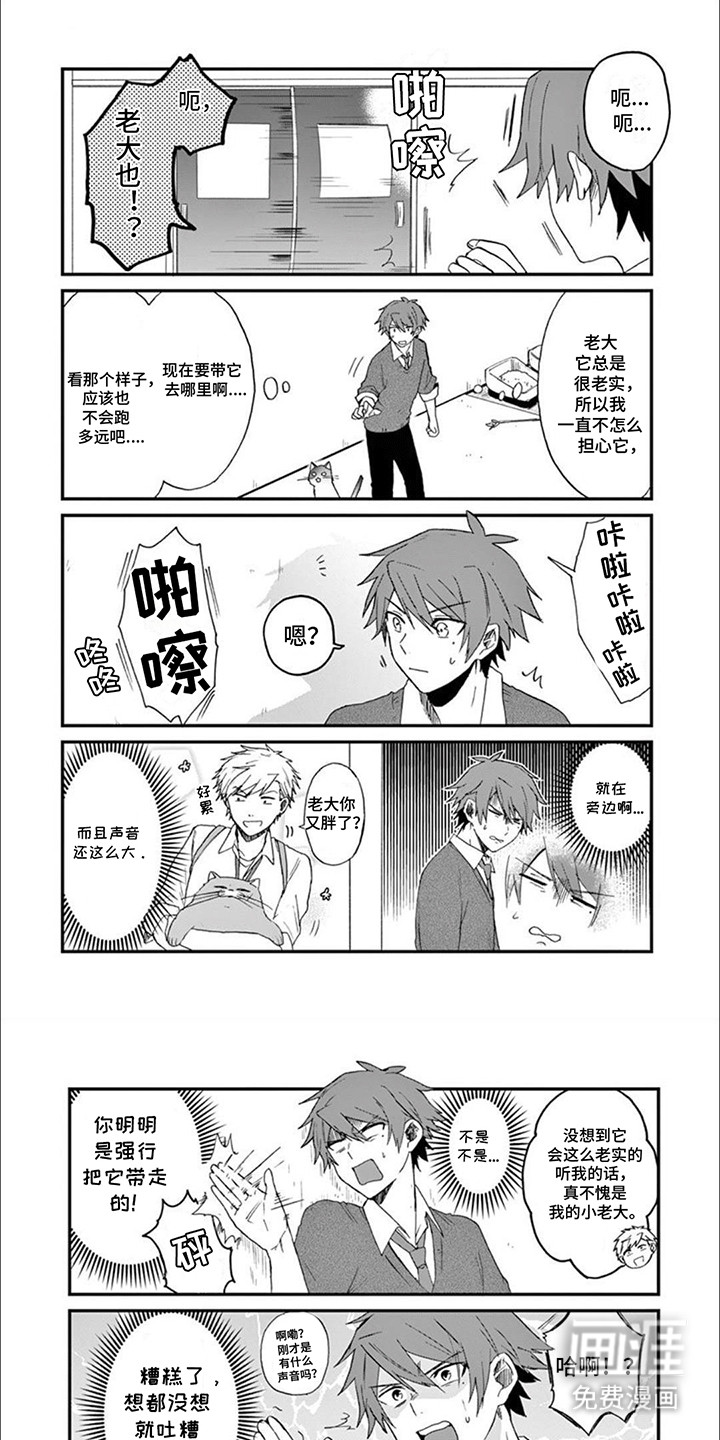 三花猫猫部第10话图