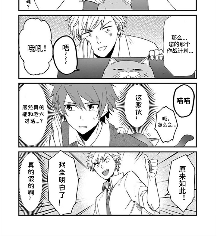 三花猫猫部第10话图