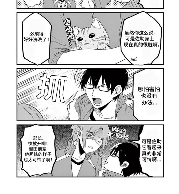 三花猫猫部第12话图